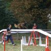 foire-haricots 2011-09-17et18
